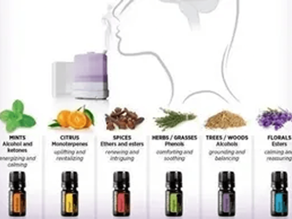rs=w_1280 (3)-2 A woman 's head with various oils and spices in front of her.